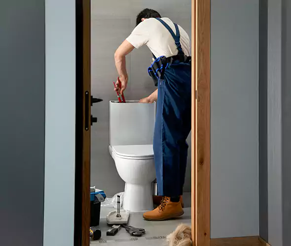 Professional Plumbers for Toilet Bowl Replacement in Floral Park, NY: Schedule Affordable Toilet Replacement Services With Us