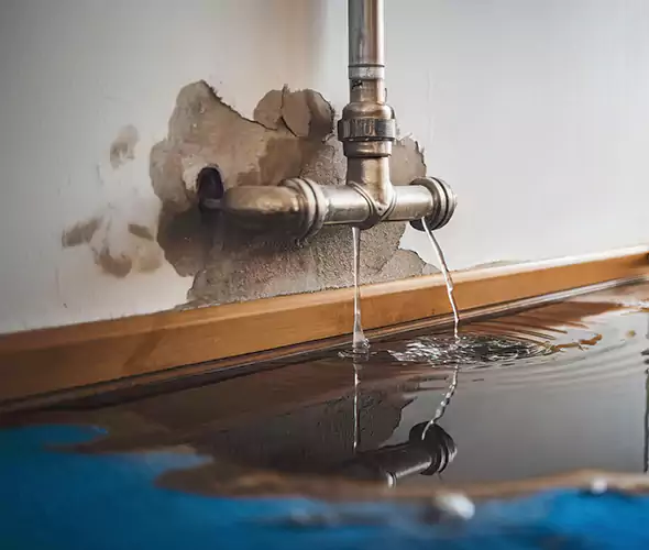 Professional Water Damage Restoration Experts in Floral Park, NY — Fast, Reliable & Certified