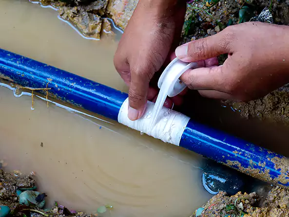  Why Choose Floral Park Plumbing for Leak Detection in Floral Park, NY?]