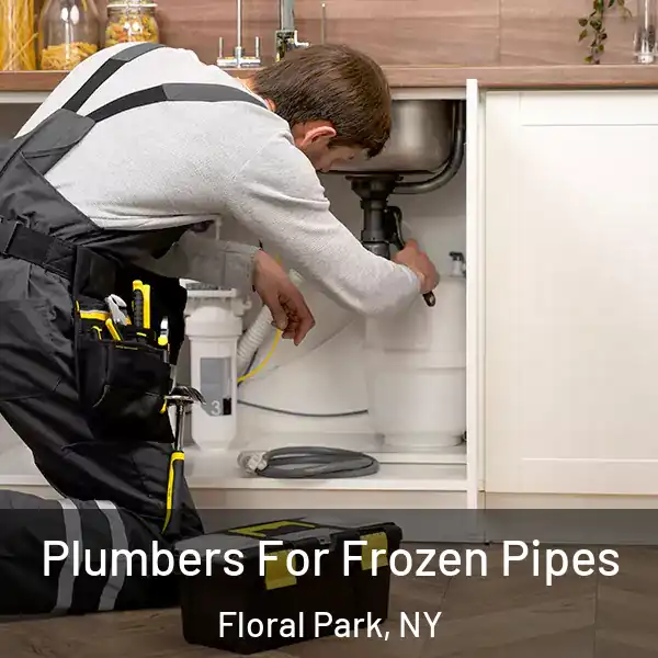  Plumbers For Frozen Pipes Floral Park, NY