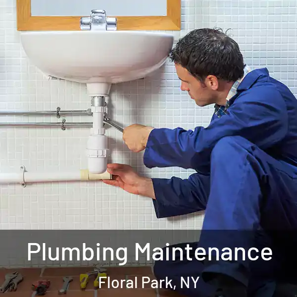  Plumbing Maintenance Floral Park, NY