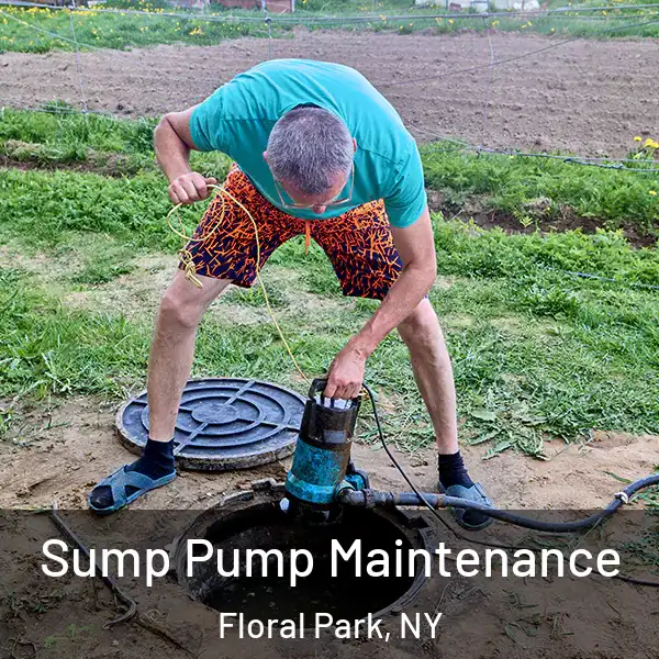  Sump Pump Maintenance Floral Park, NY