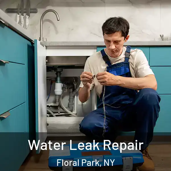  Water Leak Repair Floral Park, NY